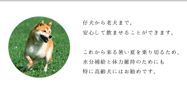 仔犬から老犬まで安心して飲ますことが出来ます。