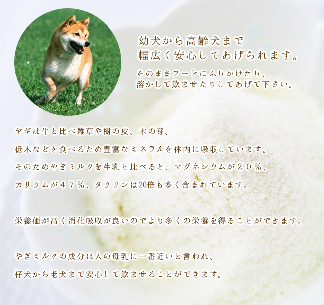 ヤギミルクは子犬から老犬まで安心して飲ませることができます