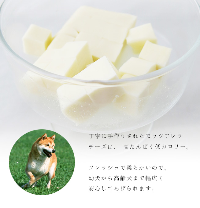 フレッシュモッツァレラチーズ 犬ごはん 犬用ケーキとおやつならキアッケレカーニ本店