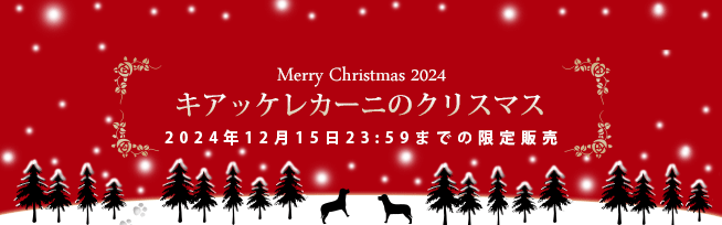 クリスマスケーキ 犬用 クリスマスギフト