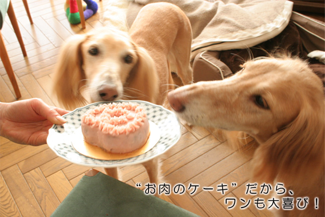 お肉のケーキだから、ワンも大喜び