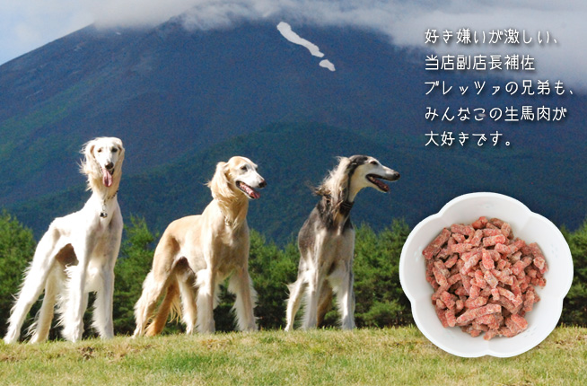 好き嫌いが激しい犬でもこの生馬肉が大好きです。