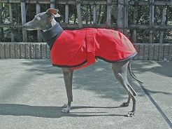 アウトドアコート ≪イタリアングレーハウンド（小型犬）サイズ≫