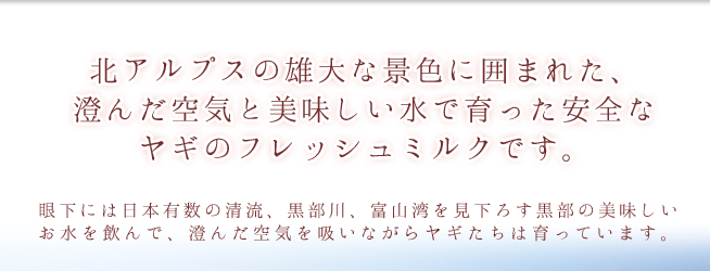 北アルプスの澄んだ空気と美味しい水で育った安全なヤギのフレッシュミルクです