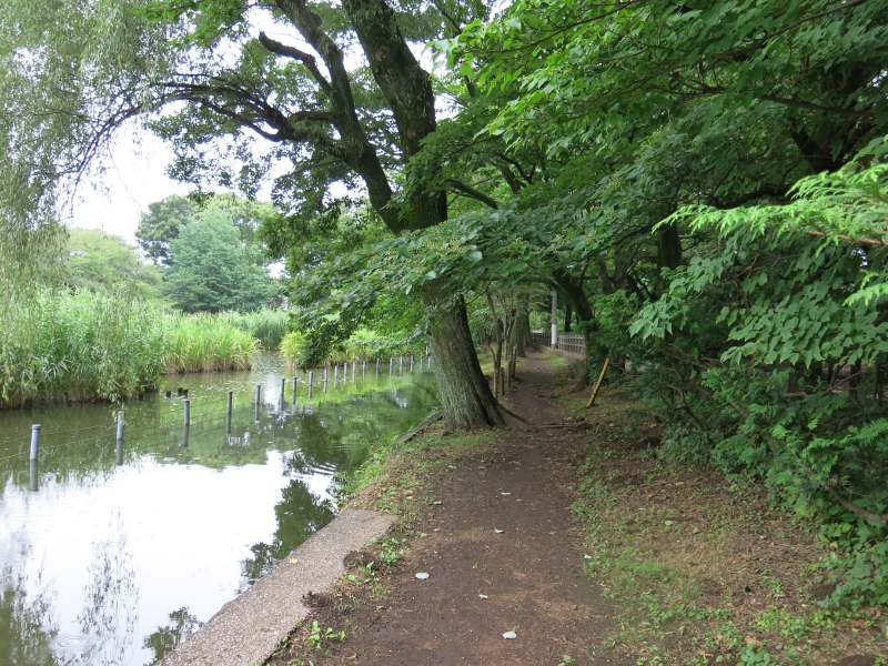 【お散歩】都内の軽井沢！善福寺公園