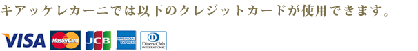 キアッケレカーニでは以下のクレジットカードが使用できます。