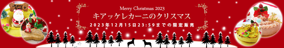 愛犬用クリスマス2023