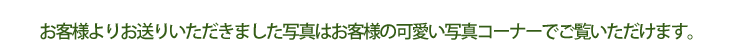 お客様よりお送りいただきました写真はお客様の可愛い写真コーナーでご覧いただけます。